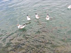 -青海湖二郎剑景区