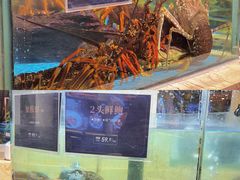 -旺顺阁海鲜广场(亚运村店)