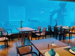 -涛·海底餐厅·美人鱼·自助餐·海底隧道(三亚海棠湾洲际度假酒店)