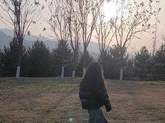-秦岭风景区