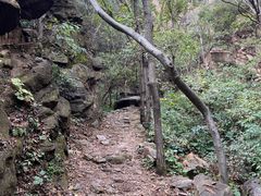 -大岭沟猕猴桃谷风景区