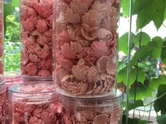-谷咖啡·鲜花绿植花园餐厅