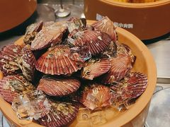 -龍歌自助小火锅(李沧丽达店)