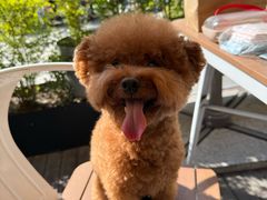 -MARU玛露音乐餐厅(大学路店)