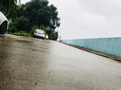 -瀛洲公园