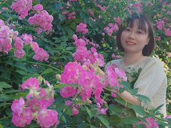 -丰台花园