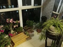 -骆驼日式搬家收纳整理