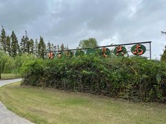 -前小桔亲子创意农场·草莓采摘·露营烧烤