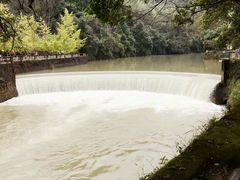 -火炉山森林公园