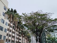 -三亚市第二中学