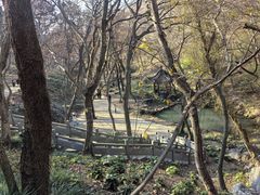 -句容茅山景区
