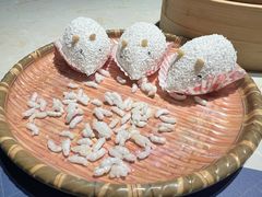 -点都德·毕德寮