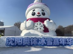 -沈阳奥体冰雪嘉年华