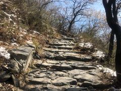 -阳台山自然风景区