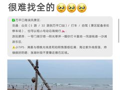 -日照海滨国家森林公园