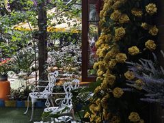 -月亮眼花园餐厅书吧酒吧