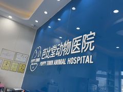 -芭比堂动物医院·CT·微创中心(新顺分院)