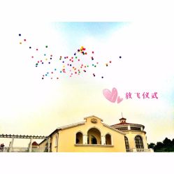 点击看大图 -伊莎贝拉婚礼庄园(顾村店)