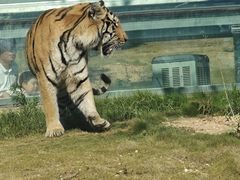 -西霞口神雕山野生动物世界