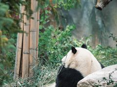 -青藏高原野生动物园