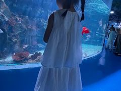 -海合安成都极地海洋公园