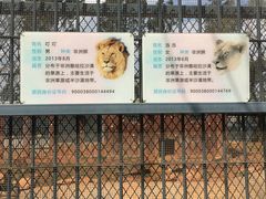 -昆明动物园