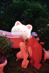 -WAVE SODA摄影工作室