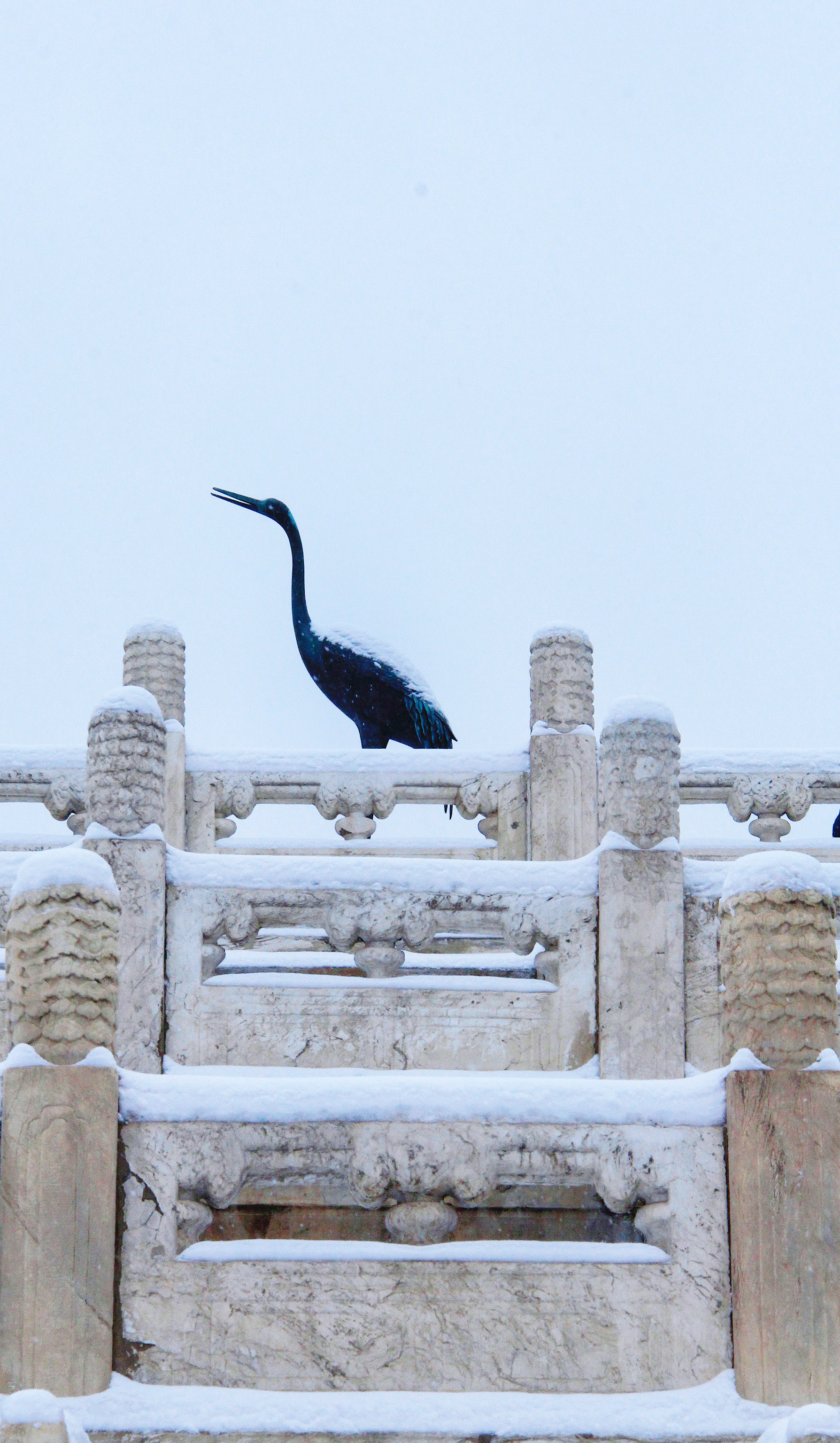 故宫狮子雪景图片