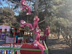 -青龙湖公园