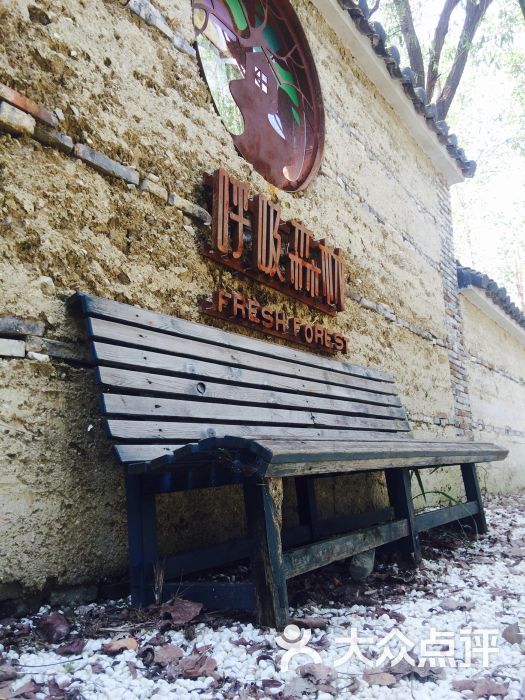 呼吸森林-图片-苏州美食-大众点评网