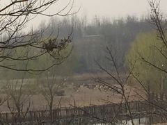 -北京麋鹿生态实验中心