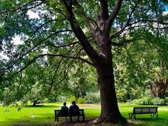 -墨尔本皇家植物园