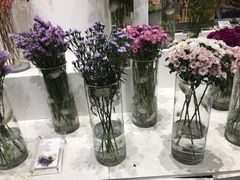-证大喜玛拉雅中心