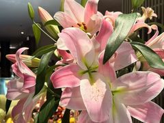 -东方棕泉·洗浴·按摩·美食国际水疗会所(福田店)