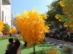 -西北轻工批发市场