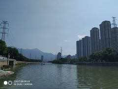 -光明港公园