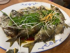 -华源餐厅·海鲜大排档(日月贝店)