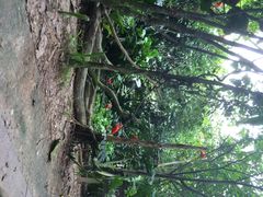 河川生态园-河川生态园