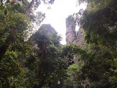 -雁荡山风景名胜区