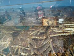 -青石桥市场北1-27号