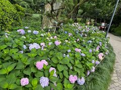 -静安公园(静安寺街道)