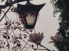 -乌山风景区