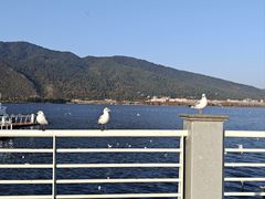 -海埂大坝