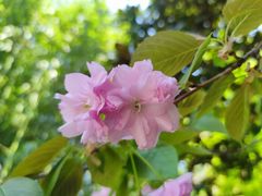 -陈家山荷花公园