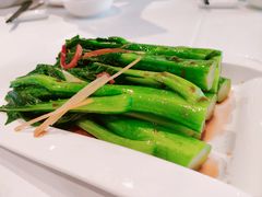 白灼油菜心-粤式早茶希朋喜宴
