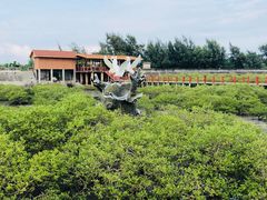 -北海金海湾红树林生态旅游区