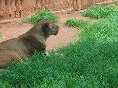 -昆明动物园