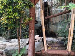 -泉州海丝野生动物世界