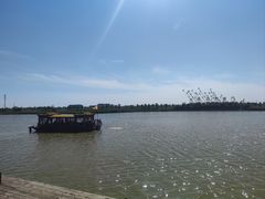 -南大港湿地风景区