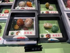 -辽宁古生物博物馆